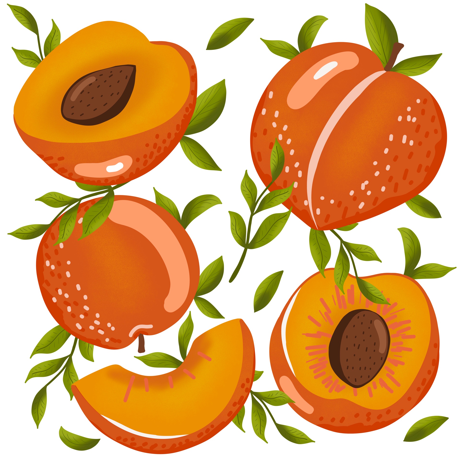 Portfolio image 4
